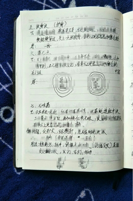 李寿升传二十一手华光法电子版