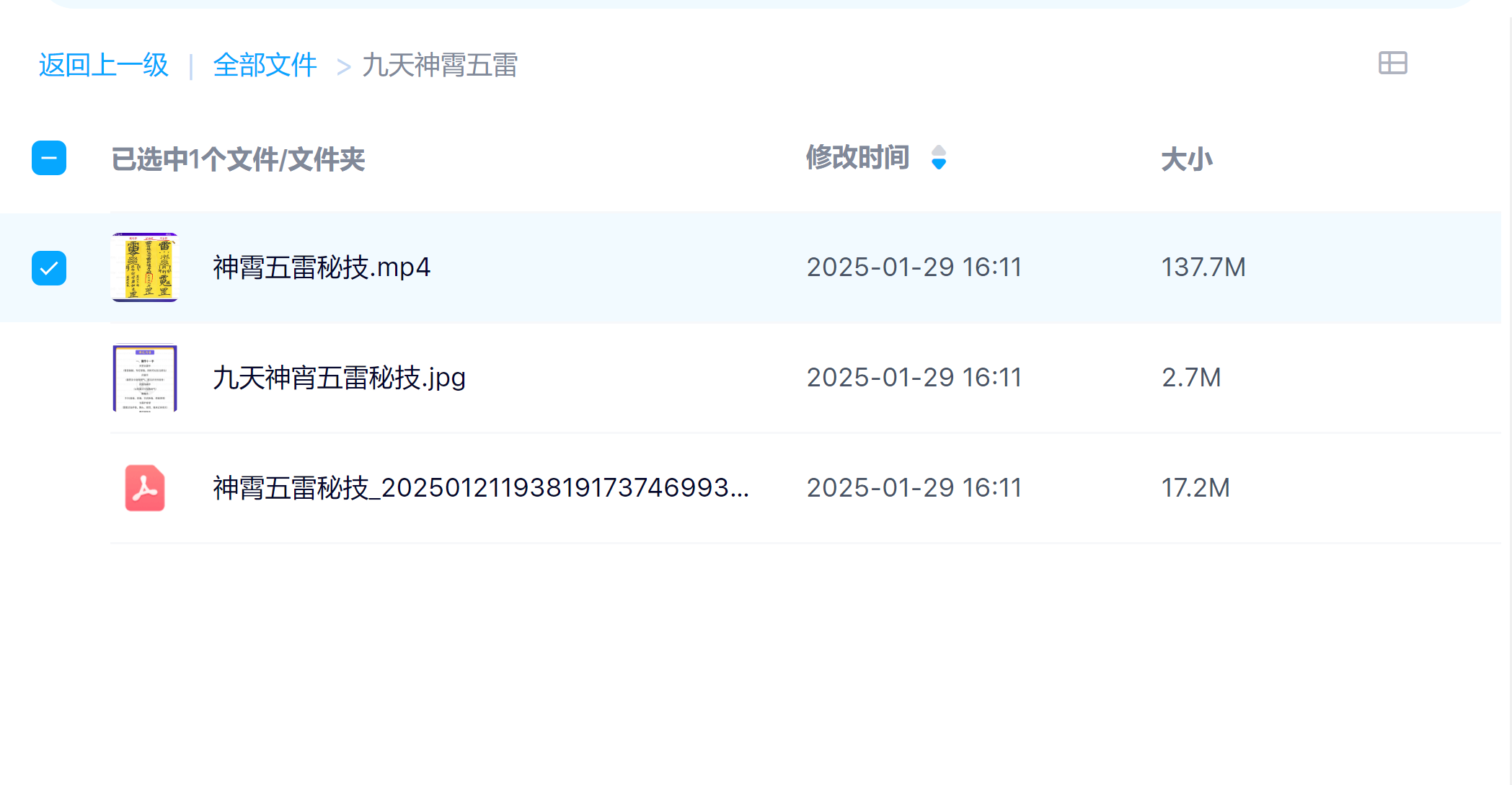 神霄五雷秘技雷传十一手视频加文档