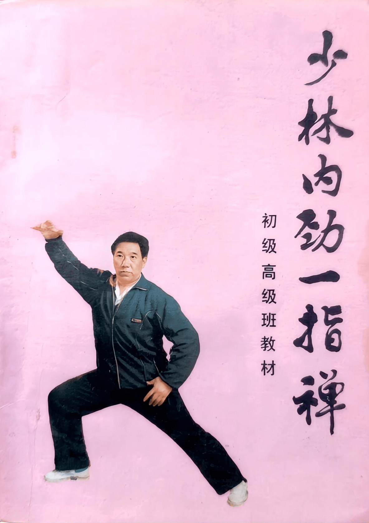 少林内劲一指禅初级高级班教材234页电子版